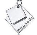 PD015 Brand Square Silver Pendant - Factory Watches Store